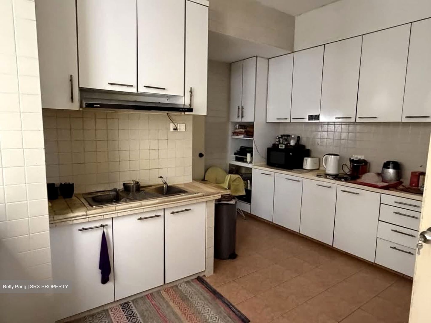 Allsworth Park (D10), Condominium #598180591